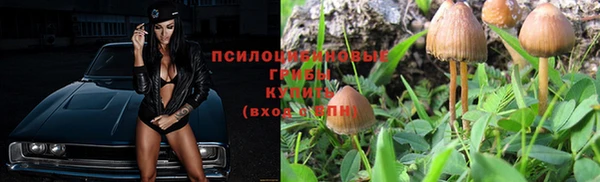 МДПВ Алексин