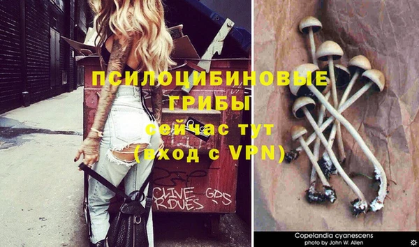 spice Абдулино
